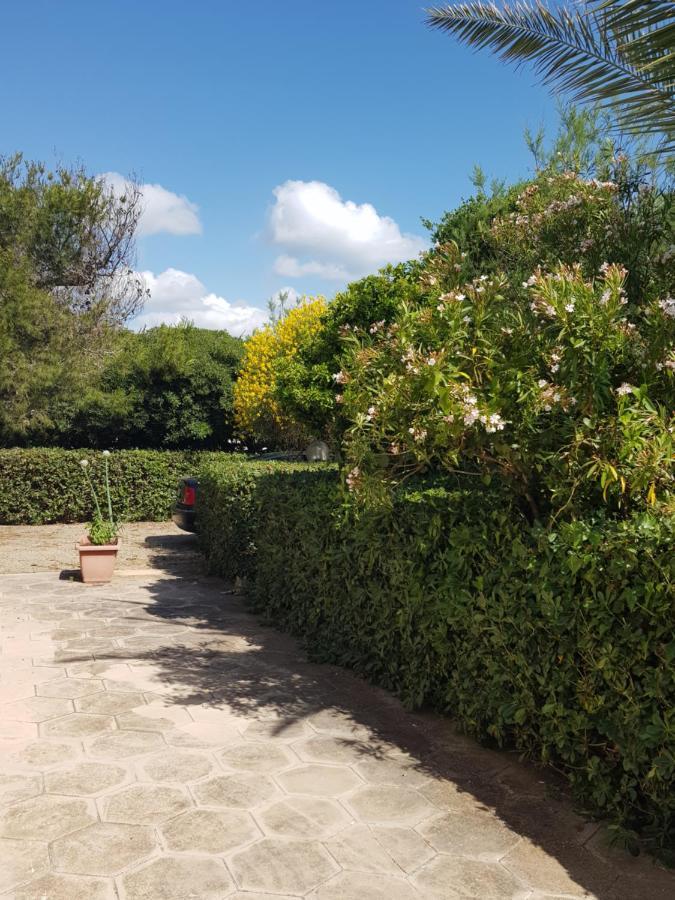 Villa Cino Punta Prosciutto Esterno foto