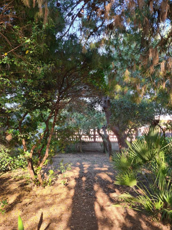 Villa Cino Punta Prosciutto Esterno foto