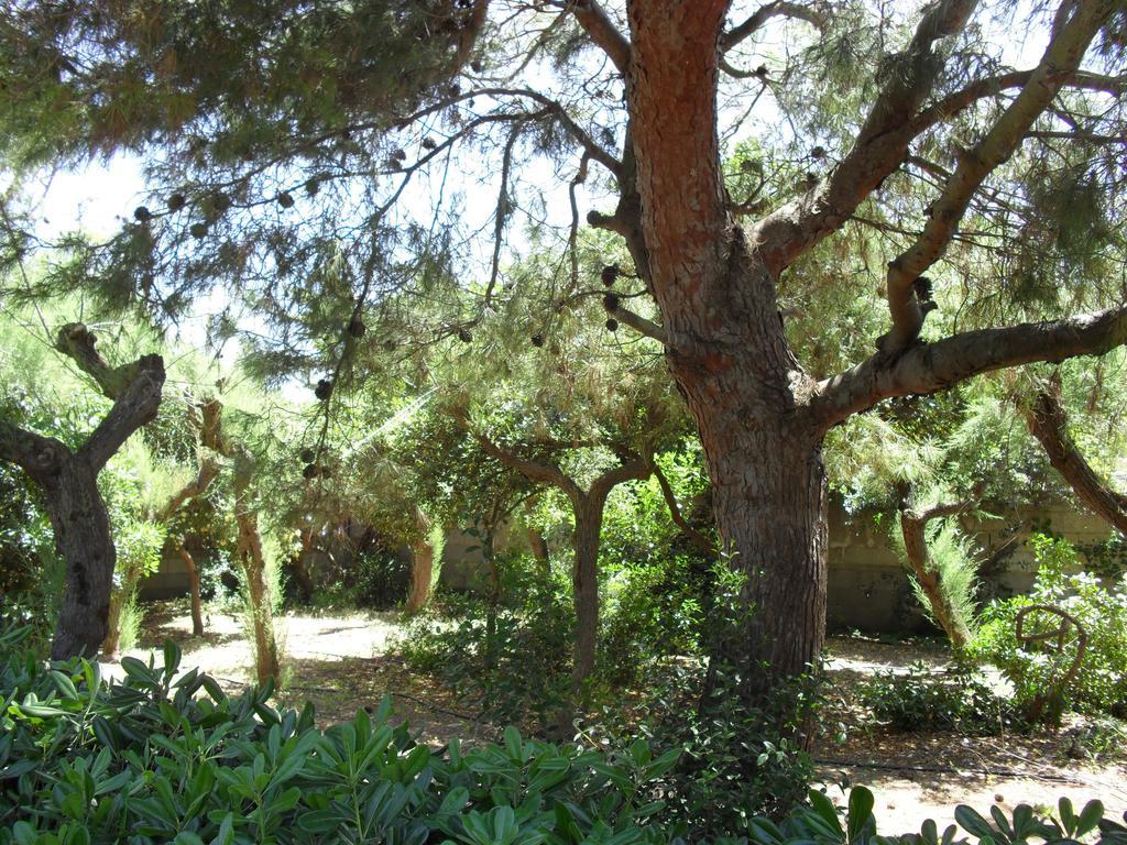 Villa Cino Punta Prosciutto Esterno foto