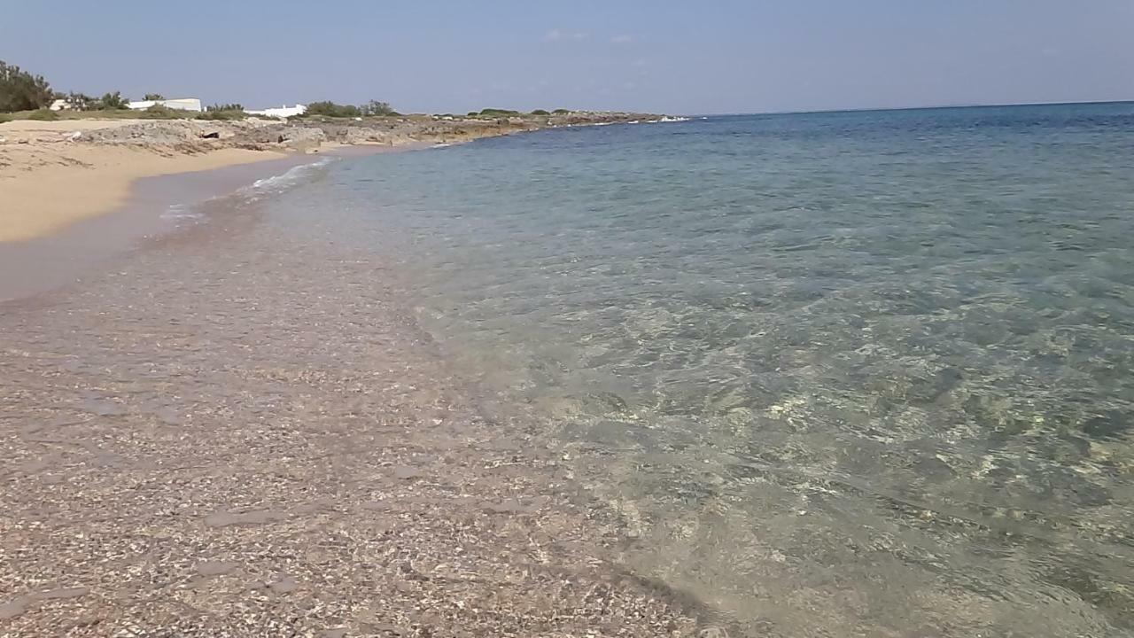 Villa Cino Punta Prosciutto Esterno foto